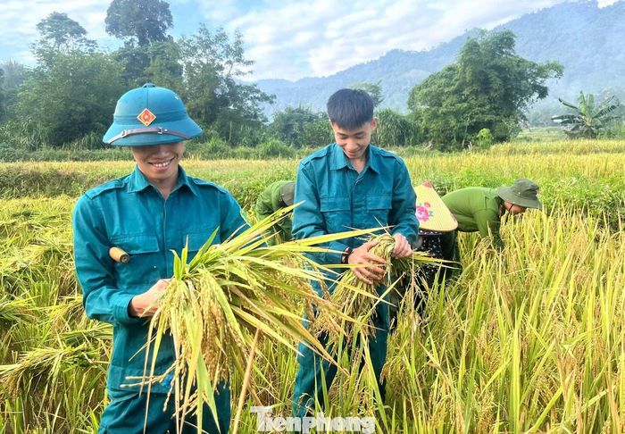 Không quản vất vả, mỗi đoàn viên đều chung tay với mong muốn giúp bà con sớm đưa những bó lúa vàng về nhà. Việc làm thể hiện tinh thần xung kích, tình nguyện của tuổi trẻ, đồng thời lan tỏa đạo lý “Uống nước nhớ nguồn”, sự sẻ chia với gia đình có công với cách mạng và những hoàn cảnh khó khăn.