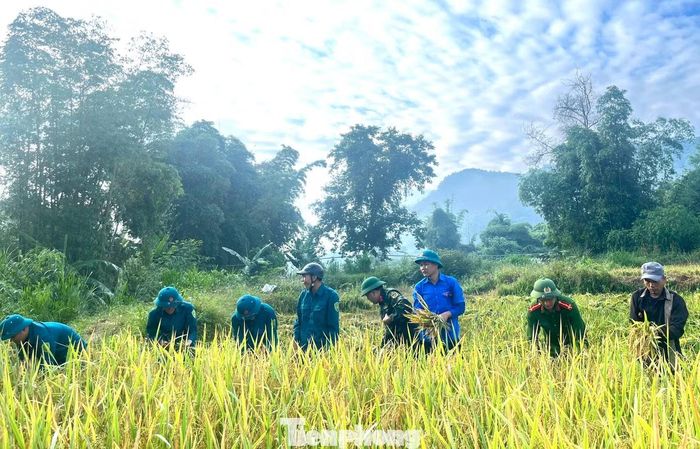  Tại xã Mường Quàng (Nghệ An), hơn 20 đoàn viên, thanh niên﻿, gồm lực lượng công an, bộ đội và các chi đoàn xóm, bản đã cùng xuống đồng giúp 3 gia đình ông Hà Ngọc Vinh, Hà Xuân Đoàn và Vi Xuân Thanh (ở xóm Châu Thôn) thu hoạch lúa. 