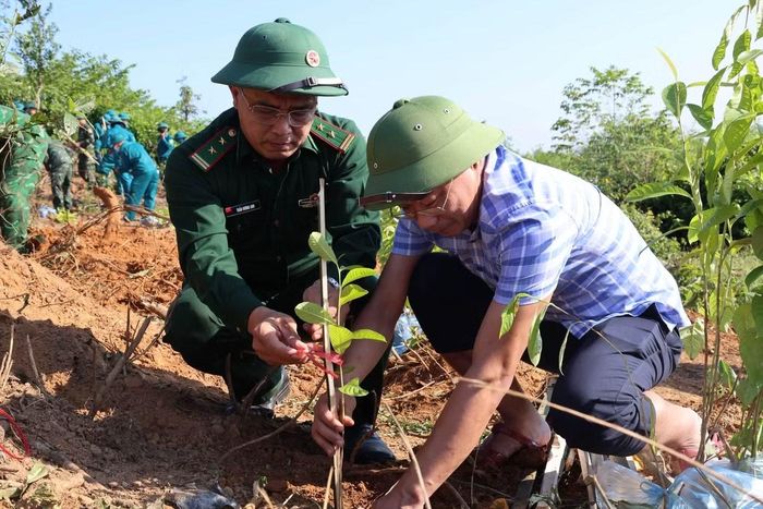 Theo chính quyền địa phương, thời gian qua, xã Thiên Cầm đã tích cực huy động các lực lượng tham gia trồng lại rừng tại khu vực núi Thiên Cầm.