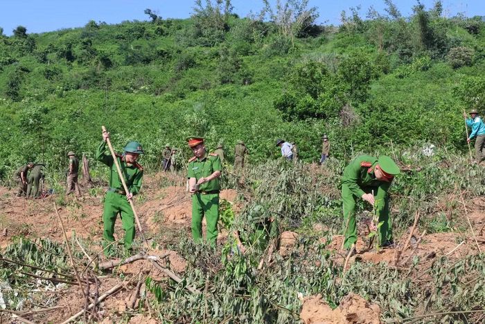 Khu vực núi Thiên Cầm có ý nghĩa quan trọng đối với cảnh quan tự nhiên của địa phương, gắn với hoạt động du lịch biển. Vì vậy, việc trồng và phục hồi rừng phòng hộ được kỳ vọng góp phần tăng độ che phủ, hạn chế xói mòn đất, bảo vệ môi trường sinh thái, đồng thời tạo dựng cảnh quan xanh, sạch, đẹp phục vụ phát triển du lịch bền vững.
