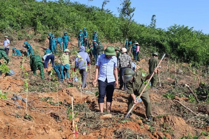 Ngày 25/10, thông tin từ UBND xã Thiên Cầm (Hà Tĩnh), địa phương vừa phối hợp ra quân tổ chức trồng lại 1.000 cây xanh nhằm phục hồi lại rừng phòng hộ sau thời gian bị thiệt hại do bão số 5 và bão số 10 năm 2025.
