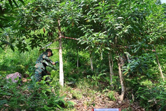Lực lượng chức năng tìm kiếm hài cốt liệt sĩ