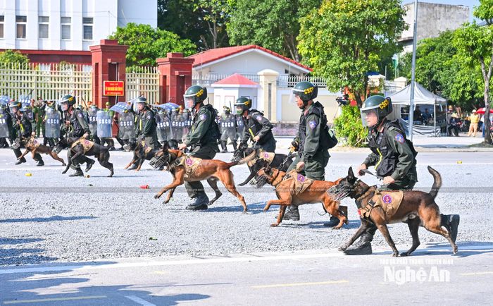 Chó nghiệp vụ tham gia diễn tập thực binh A2. Ảnh: Thành Cường