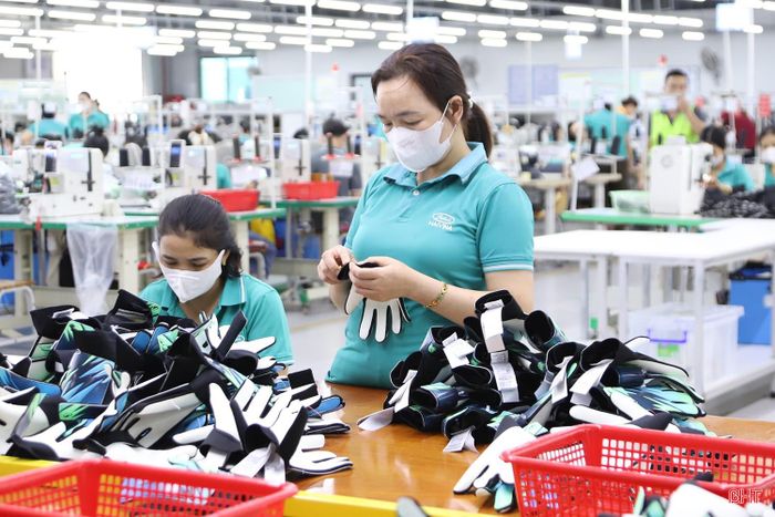 Công ty TNHH Haivina Hồng Lĩnh có nhu cầu tuyển dụng lớn để đáp ứng kế hoạch mở rộng quy mô trong tháng 11/2026.