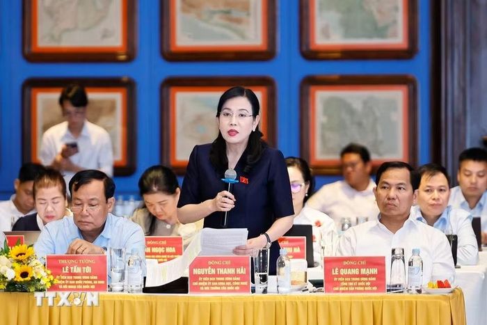 Chủ nhiệm Ủy ban Khoa học, Công nghệ và Môi trường của Quốc hội Nguyễn Thanh Hải phát biểu tại cuộc làm việc với Lãnh đạo tỉnh An Giang. (Ảnh: Doãn Tấn/TTXVN)