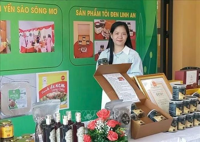 Giới thiệu sản phẩm tỏi đen Linh An.