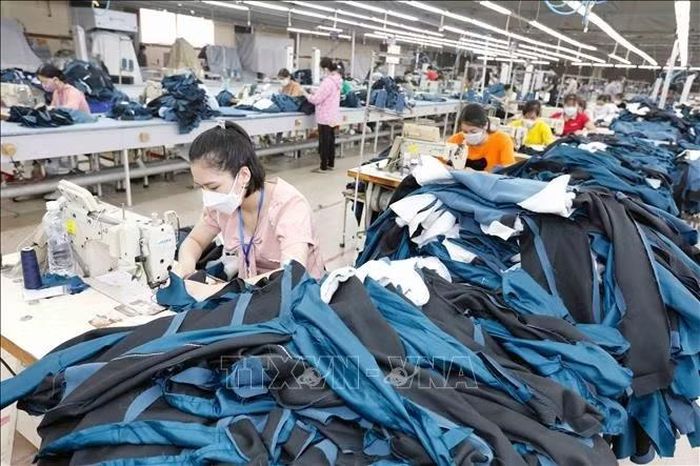 May hàng xuất khẩu sang thị trường EU, Mỹ, Nga tại Xí nghiệp May 2, Công ty May Hồ Gươm (Hưng Yên). Ảnh: Tuấn Anh/TTXVN
