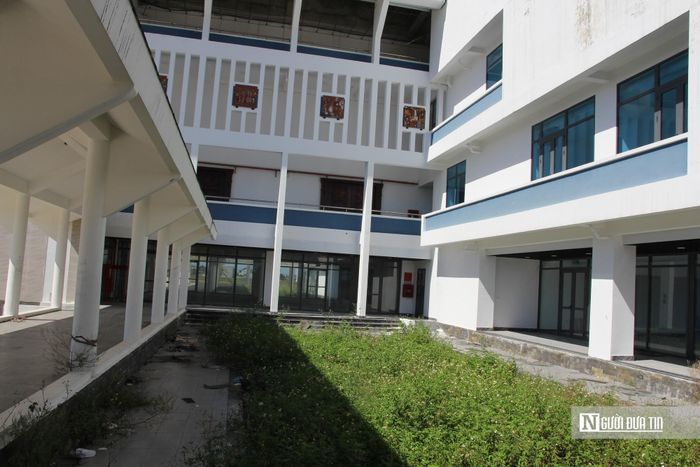 Khuôn viên bên trong cỏ mọc um tùm.