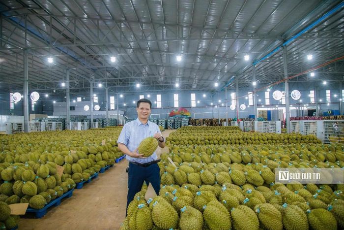 Ông Lê Anh Trung - Chủ tịch Hiệp hội Sầu riêng Đắk Lắk (Ảnh: Nhân vật cung cấp)
