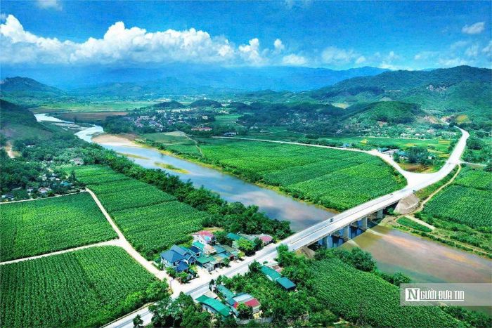 Xã miền núi quyết tâm "đánh thức" tiền năng của cây chè với nhiều chính sách mang tính đột phá. Ảnh Hồ Thắng.