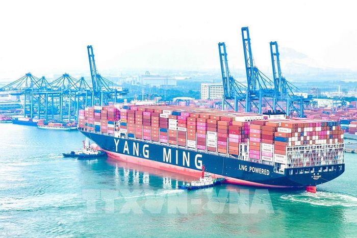 Tàu mẹ YM WAYFINDER cập cảng Cảng Quốc tế Tân Cảng - Cái Mép. Ảnh: TTXVN phát