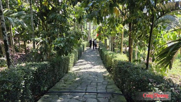 Nét duyên trầm mặc của Lộc Yên hiện lên qua lối đi lát đá rợp bóng cây xanh.