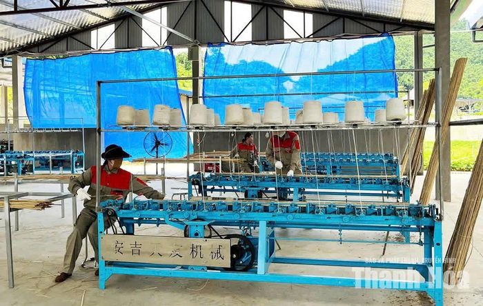 Sản xuất mành xuất khẩu tại Công ty CP Thương mại và Sản xuất Lang Chánh.