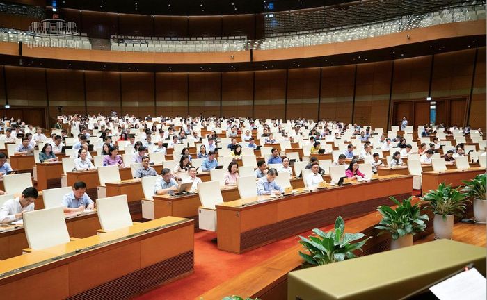 Các đại biểu dự phiên toàn thể về dự án Luật sửa đổi, bổ sung một số điều của Luật Sở hữu trí tuệ - Ảnh: Quochoi.vn.