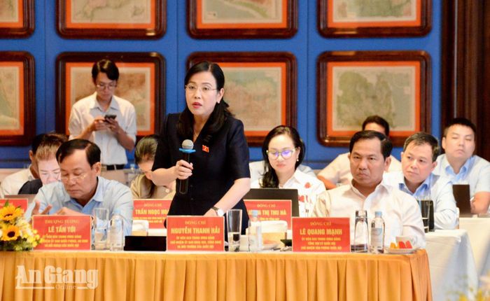 Chủ nhiệm Ủy ban Khoa học, công nghệ và Môi trường Nguyễn Thanh Hải phát biểu tại cuộc làm việc.