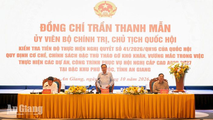 Chủ tịch Quốc hội Trần Thanh Mẫn kết luận tại cuộc làm việc.