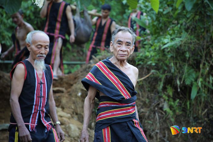 Già làng Hồ Văn Đề (bên phải) dẫn đầu đoàn già làng M'Nông tiến đến vị trí chọn tổ chức lễ cúng. Ảnh: ALĂNG NGƯỚC