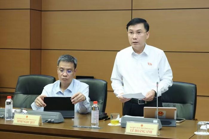 ĐB Lê Hoàng Anh cho rằng chính sách về an toàn thực phẩm cần được thiết kế phù hợp với trình độ phát triển kinh tế, năng lực của doanh nghiệp, hộ gia đình và bộ máy thực thi trong từng giai đoạn. Ảnh: Đoàn ĐBQH tỉnh Gia Lai