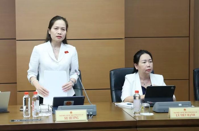 ĐB Siu Hương đề nghị làm rõ việc chấm dứt hiệu lực của quyết định không đồng nghĩa với chấm dứt những nghĩa vụ bảo vệ môi trường mà chủ đầu tư chưa hoàn thành trong giai đoạn thi công. Ảnh: Đoàn ĐBQH tỉnh Gia Lai