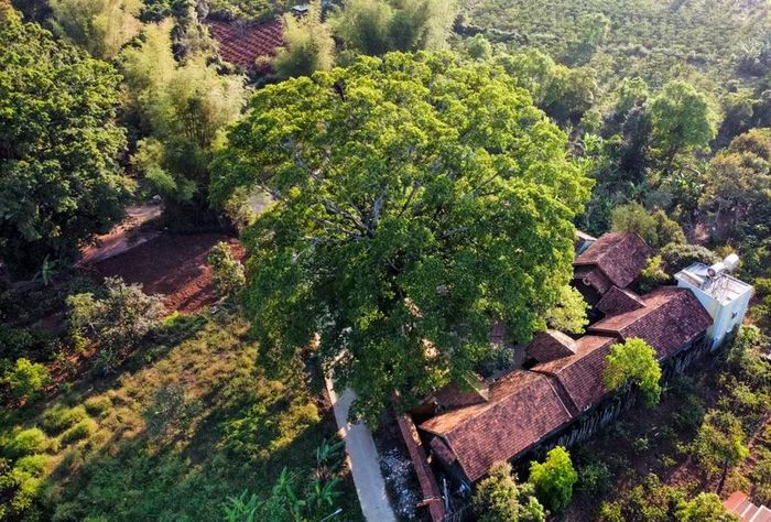  Homestay Tơ Nưng sẽ đi vào hoạt động đúng dịp lễ hội năm nay. Ảnh: H.N 