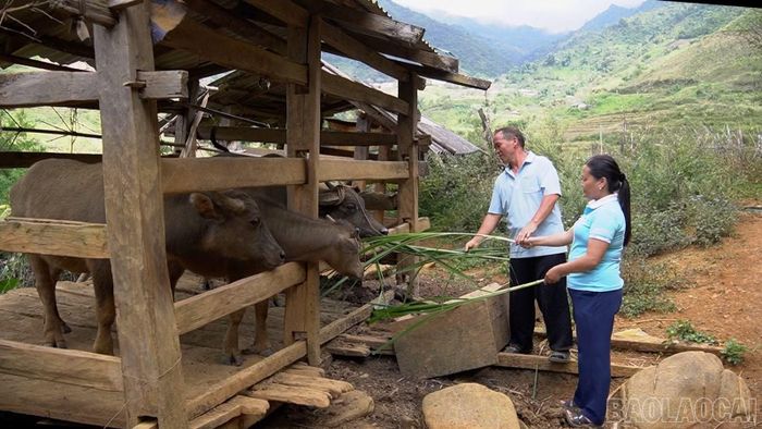 Nhờ thay đổi tập quán chăn nuôi, trồng trọt, gia đình ông Giàng Nỏ Hồ đã vươn lên thoát nghèo.