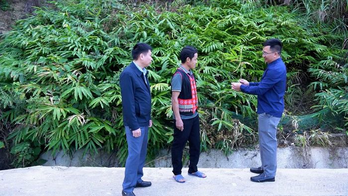 Anh Sùng A Dò (giữa ảnh) giới thiệu về mô hình phát triển kinh tế từ cây sa nhân.