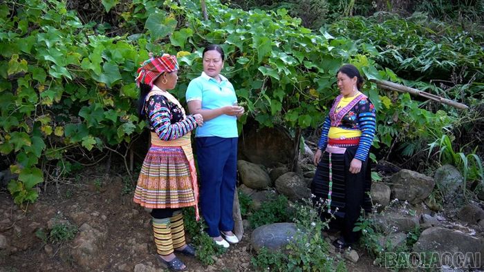 Cuộc sống của người dân xã Tà Xi Láng bắt đầu đổi thay nhờ những cây trồng phù hợp với điều kiện khí hậu, thổ nhưỡng địa phương.