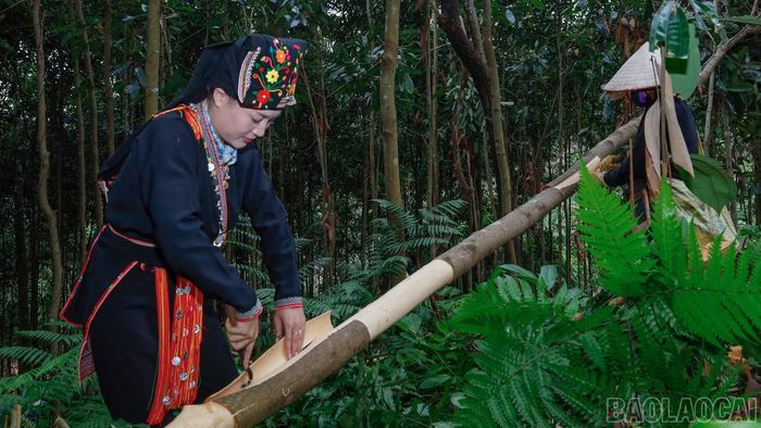 Từng đảm nhiệm các vị trí trong công tác Đoàn, HĐND và hiện là Ủy viên Ban Chấp hành Đảng bộ xã, Phó Chủ tịch Mặt trận Tổ quốc, Bí thư Đoàn Thanh niên xã Tân Hợp, Lý Hương có nhiều cơ hội tiếp xúc, lắng nghe tâm tư, nguyện vọng của người dân. Quá trình công tác tại địa phương giúp chị hiểu rõ hơn vấn đề đặt ra trong đời sống và trách nhiệm của người đại biểu dân cử.