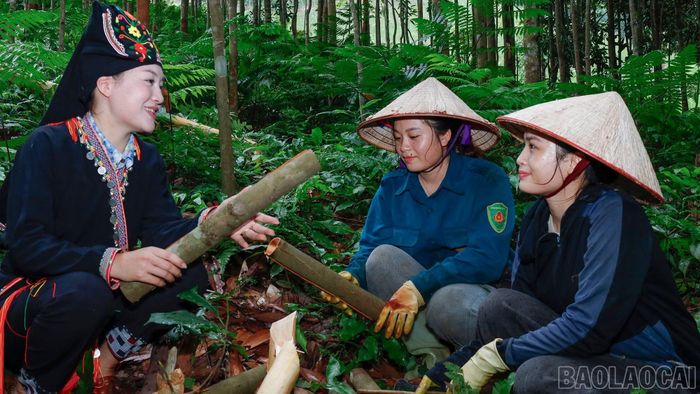 Không chỉ lắng nghe tâm tư, nguyện vọng của cử tri qua các cuộc gặp gỡ, Lý Hương còn trực tiếp tham gia lao động, chia sẻ công việc cùng bà con. Với chị, những hoạt động gần gũi trong đời sống thường ngày cũng là cơ hội để hiểu hơn khó khăn, nhu cầu và mong muốn của người dân. Trong câu chuyện đời thường bên công việc bóc quế, Lý Hương lắng nghe người dân chia sẻ về sản xuất, đời sống và những vấn đề đang gặp phải. Từ công việc quen thuộc của bà con, chị có thêm cơ hội tìm hiểu thực tế phát triển kinh tế tại địa phương, ghi nhận những mong muốn của người dân về việc làm, thu nhập và điều kiện phát triển sản xuất ngay trên quê hương.