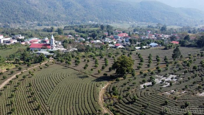 Bức tranh sáng nông thôn mới Liên Sơn.