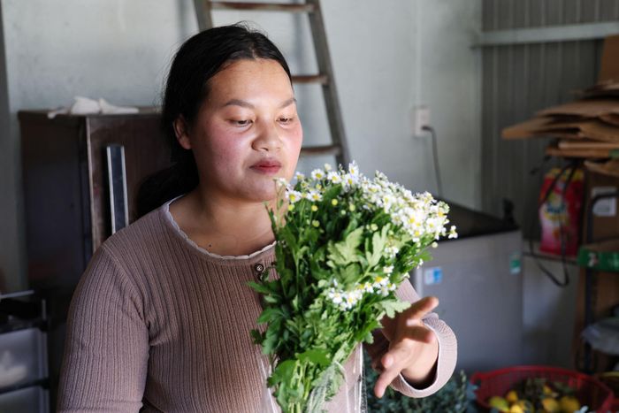 Chị K’Thoải rời công việc tại một ngân hàng để khởi nghiệp với hoạt động kinh doanh hoa, lá tươi