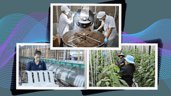 Từ những vùng đất khai hoang năm xưa, các thế hệ người Hà Nội đã cần cù lao động, phát triển nông nghiệp công nghệ cao, chế biến cà phê và nghề tơ lụa, góp phần tạo nên diện mạo kinh tế trù phú, năng động của vùng đất Lâm Hà hôm nay