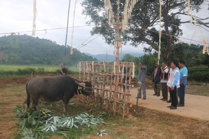 Nghi thức mời gọi thần linh về dự Lễ Nhô wèr, thể hiện lòng thành kính và ước vọng mùa màng tươi tốt, cuộc sống no đủ của người Cơ Ho Srê