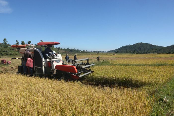 Cơ giới hóa được đưa vào sản xuất, góp phần giảm sức lao động của người nông dân, nâng cao hiệu quả kinh tế. (Ảnh: tư liệu)