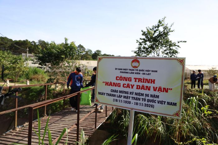 "Hàng cây dân vận" dọc hai bên tuyến suối đường Hồ Xuân Hương, phường Lâm Viên - Đà Lạt