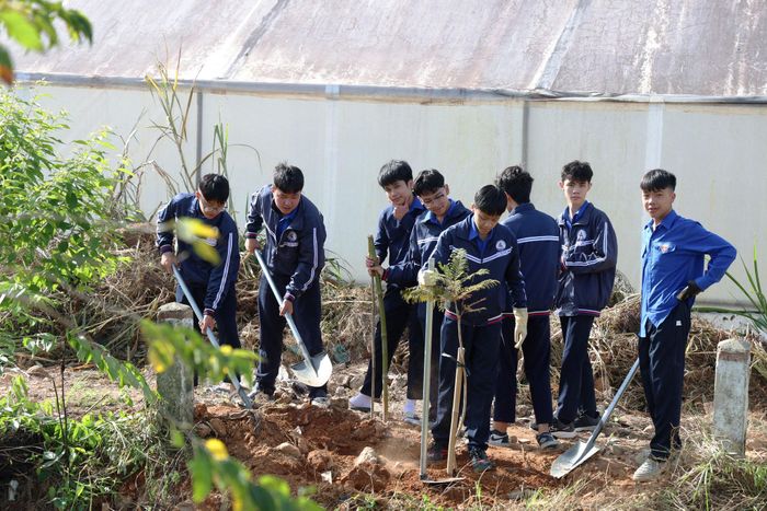 Học sinh các trường phổ thông tham gia trồng cây xanh