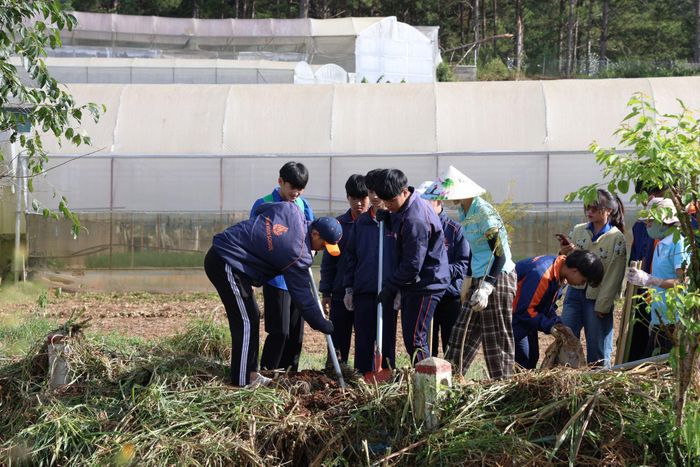 Học sinh các trường phổ thông tham gia trồng cây xanh