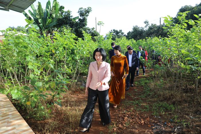 Đồng chí Phùng Thị Hồng Hà, Phó Bí thư Thành ủy, Chủ tịch HĐND TP Hà Nội, Phó trưởng Đoàn ĐBQH TP Hà Nội (đi đầu) cùng đồng chí Phạm Thị Phúc, Phó Bí thư Tỉnh ủy, Chủ tịch Ủy ban MTTQ Việt Nam tỉnh Lâm Đồng thăm, tặng quà các hộ gia đình khó khăn tại xã Nam Ban Lâm Hà