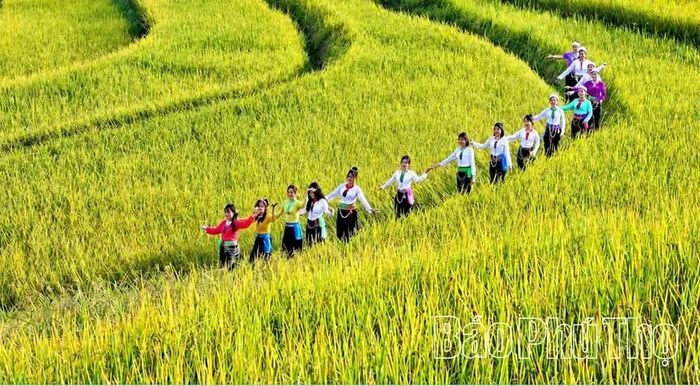Trang phục truyền thống của phụ nữ Mường tạo nên bức tranh màu sắc trên ruộng bậc thang Miền Đồi.