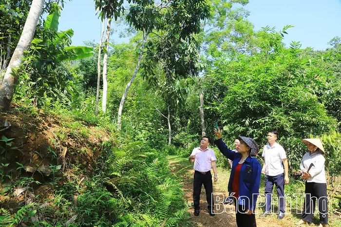Nguồn vốn tín dụng chính sách của Phòng giao dịch NHCSXH Yên Lập góp phần hỗ trợ người dân phát triển sản xuất, nâng cao thu nhập.