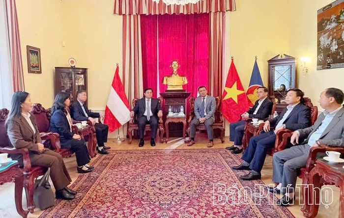 Chủ tịch UBND tỉnh Trần Duy Đông cùng đoàn công tác làm việc với Đại sứ quán Việt Nam tại Cộng hòa Áo.