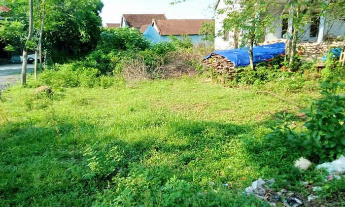 Hầm Lán An Hưng, nơi 46 cán bộ hy sinh giờ chỉ còn khoảnh đất trống đầy cỏ rác - Ảnh N.T