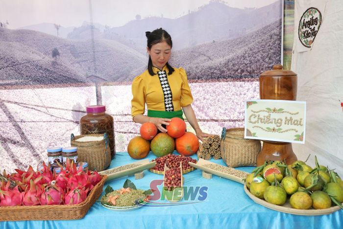 Trưng bày giới thiệu sản phẩm của địa phương.