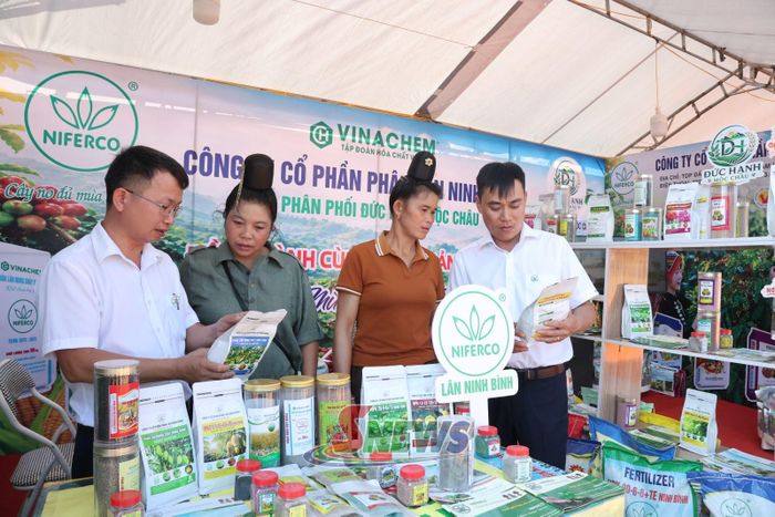 Công ty cổ phần phân lân Ninh Bình tư vấn hướng dẫn người dân sử dụng phân bón cho cây trồng.