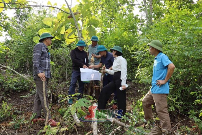 Kiểm tra thực địa việc triển khai dự án bố trí, sắp xếp dân cư vùng thiên tai xã Tường Hạ.