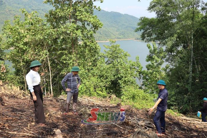 Xã Tường Hạ rà soát việc thu hoạch cây lâm nghiệp tại bản Thống Nhất.