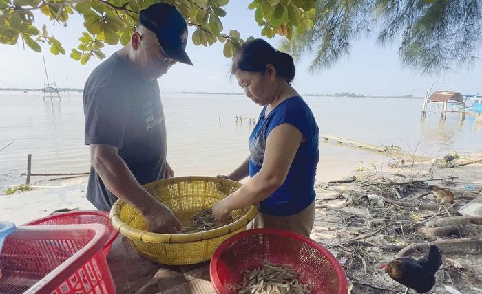 Một cặp vợ chồng ở Thuận An phân loại đặc sản Tam Giang. 