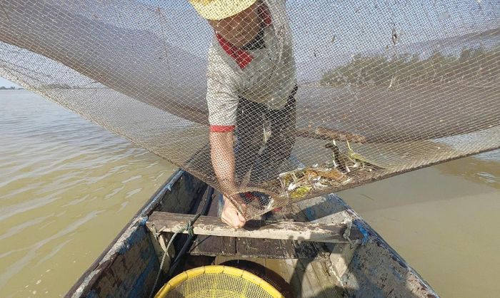  Đổ rớ giàn ở cửa Thuận An.