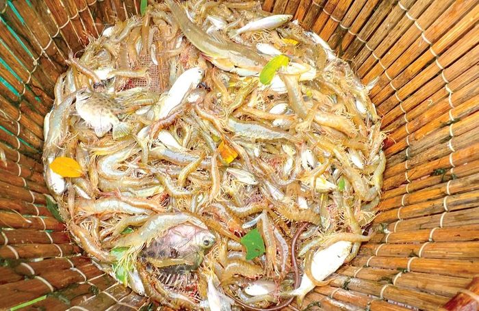Đặc sản Tam Giang - Cầu Hai 