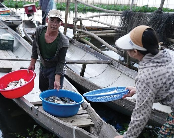 Đò ghe ngư dân cập bến chợ Tân An lúc sáng sớm. 